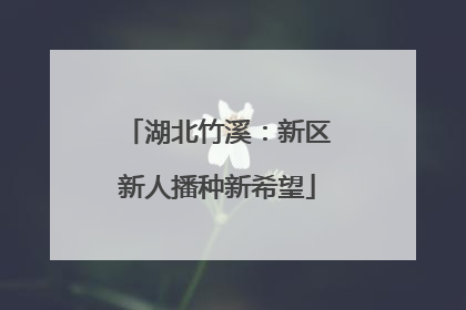 湖北竹溪：新区新人播种新希望